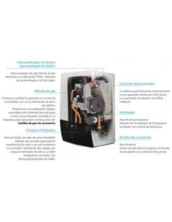 Caldera A Gas Daikin D2CND35SET35kW 7 Caldera A Gas Daikin D2CND35SET35kW -GASFRIOCALOR Ventas caldera a gas de condensacion daikin d2cnd35set 35kw 2