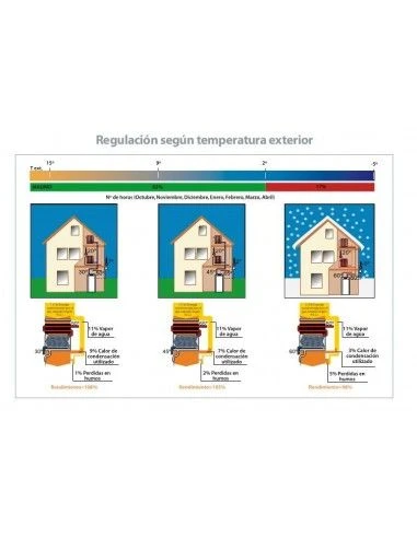 Caldera De Gas Domusa AVANTTIA NG 24 HDX 120 L 4 Caldera De Gas Domusa AVANTTIA NG 24 HDX 120 L - Imagen 2