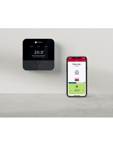 Caldera De Gas Saunier Duval ThemaFast Condens Mi 26 7 Caldera De Gas Saunier Duval ThemaFast Condens Mi 26 - Imagen 5