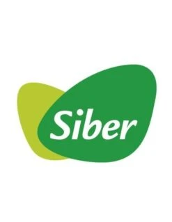 Control De Velocidad Siber De 2 Posiciones Para DFDUO1