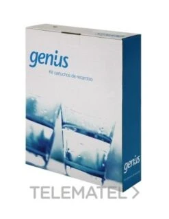 Kit Reemplazo ATH 4 Cartuchos Genius Eco 304231