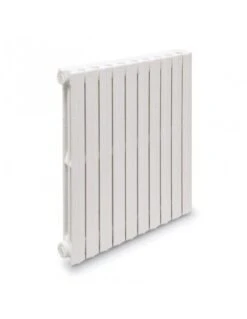 Radiador De Hierro Fundido Lasian RIDEM 2/813