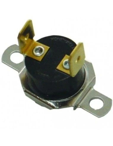 Termostato Seg. 100ºC Domina Ferroli 3 Termostato Seg. 100ºC Domina Ferroli